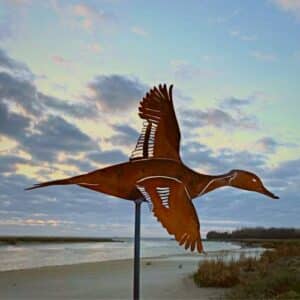 Silhouette Canard Pilet